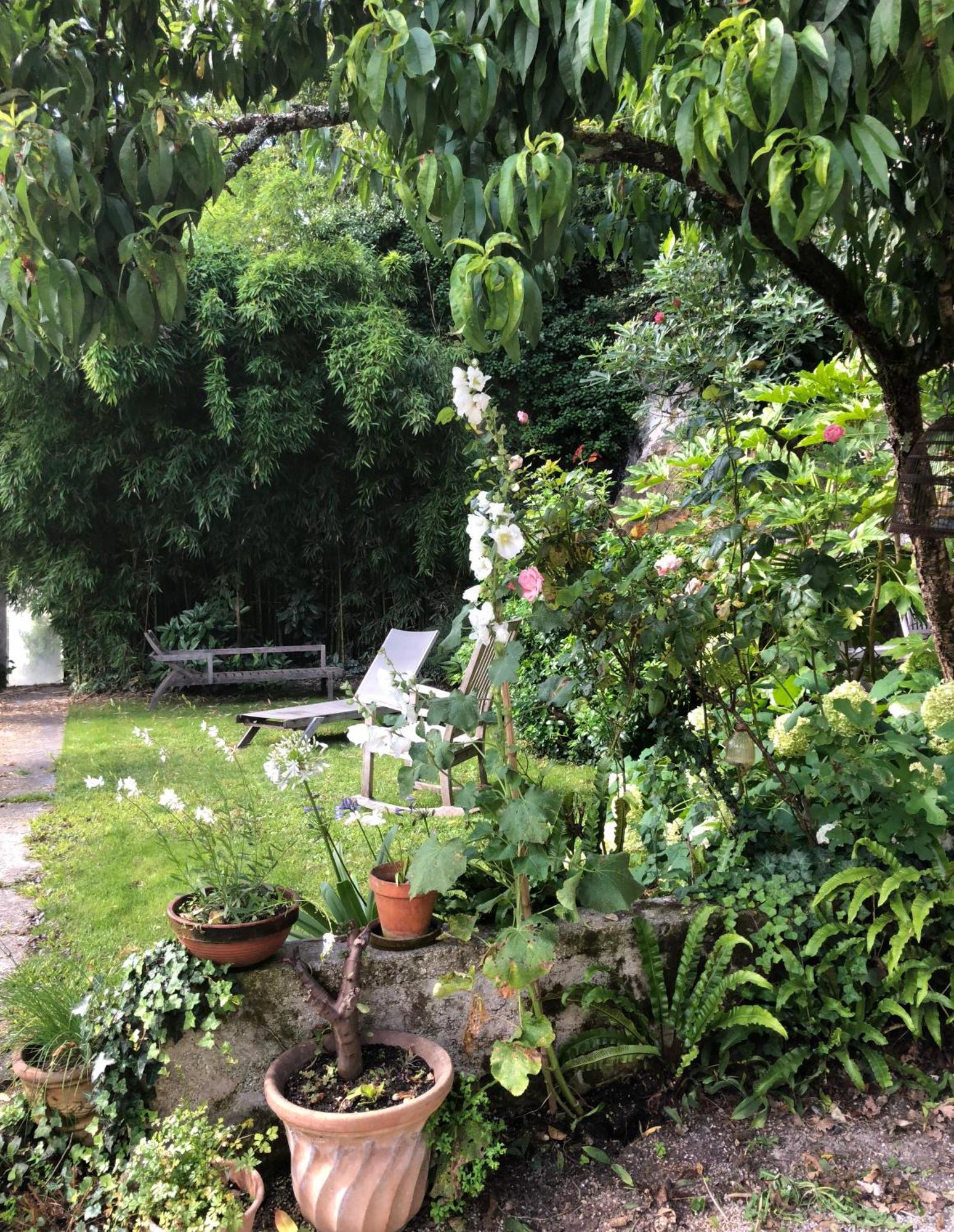 L'Heure Bleue Bed & Breakfast Saintes Bagian luar foto